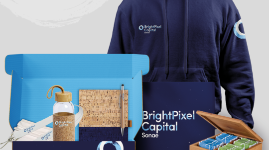 Bright Pixel Capital